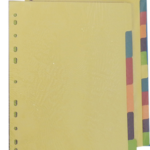 DIVISORI COLORATI  A4 12 COL.