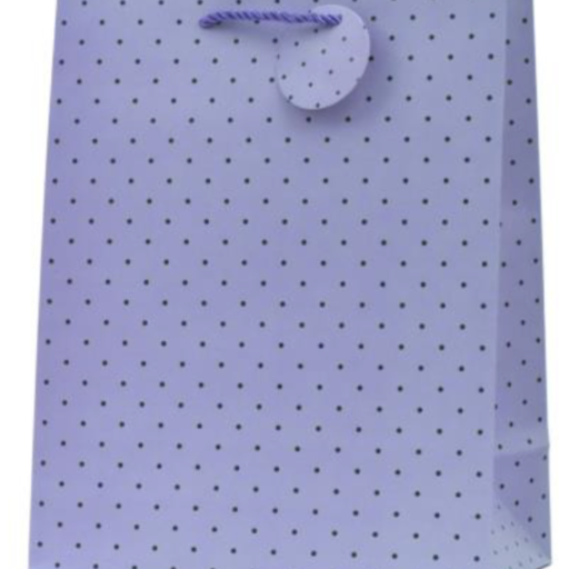 BAG BOTTLE 12,7X33X11,3 POIS TT-50 CF.12