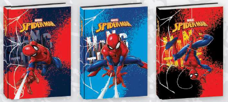 DIARIO 10 MESI SPIDERMAN