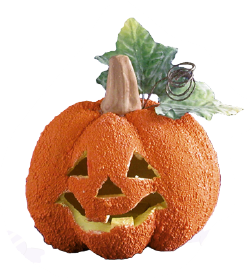 ZUCCA RUGOSA CM.12 C/LUCE