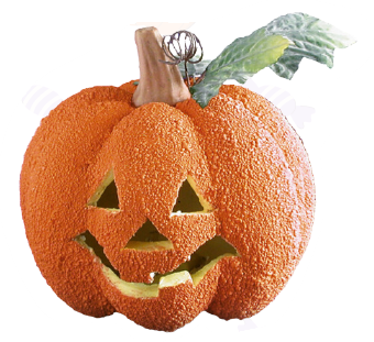 ZUCCA RUGOSA CM.18 C/LUCE